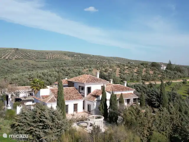 De finca midden in de olijfgaarden.